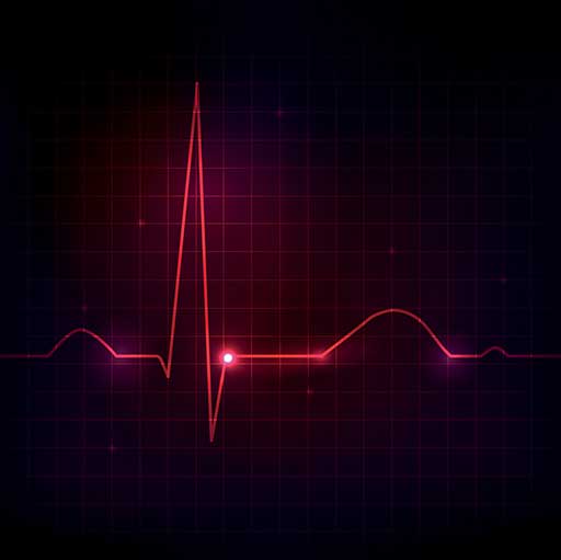 EKG measures heart rate