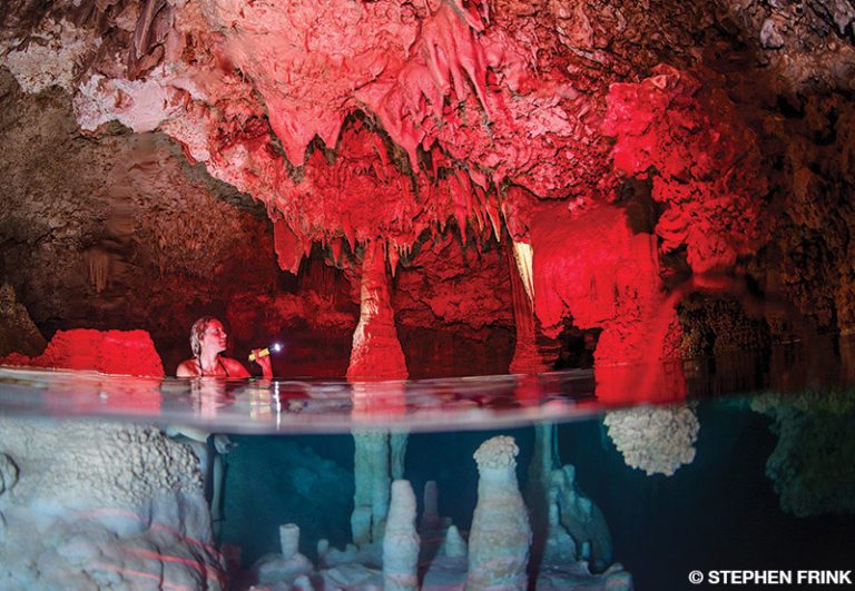 Blessed Bonaire Divers Alert Network