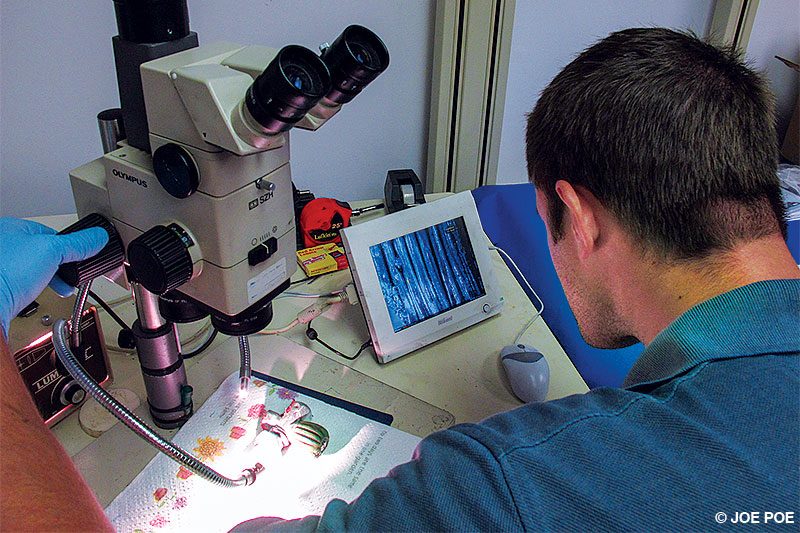 Man uses lab equipment to analyze a ruptured cylinder.
