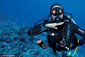 A diver underwater gives an out of air signal by putting his hand across his throat.