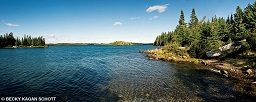 The topside scenery at Isle Royale Park is lush and green.