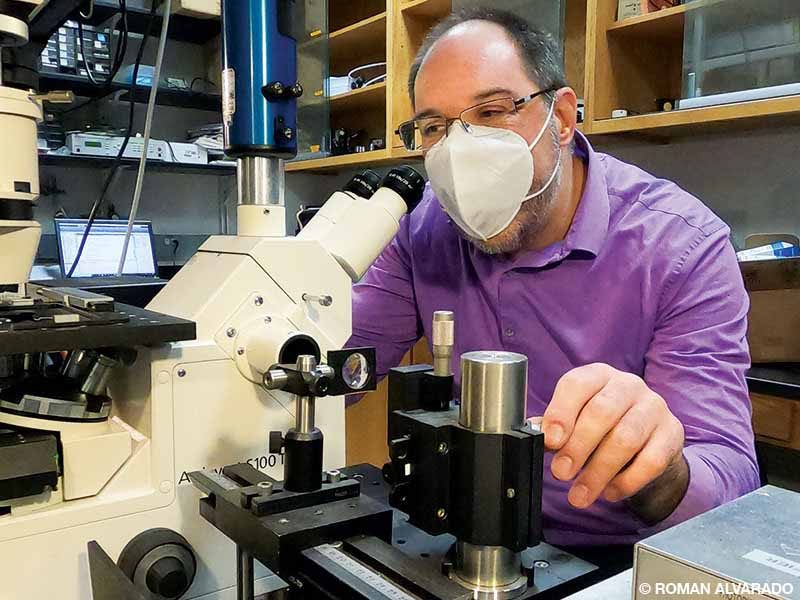 Meiners wearing a face mask and a purple shirt looks into a microscope.