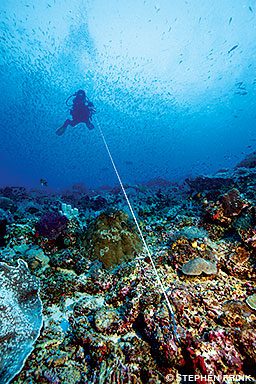 A diver is using a reef hook attached to some coral in the foreground with a line leading to the diver in the distance