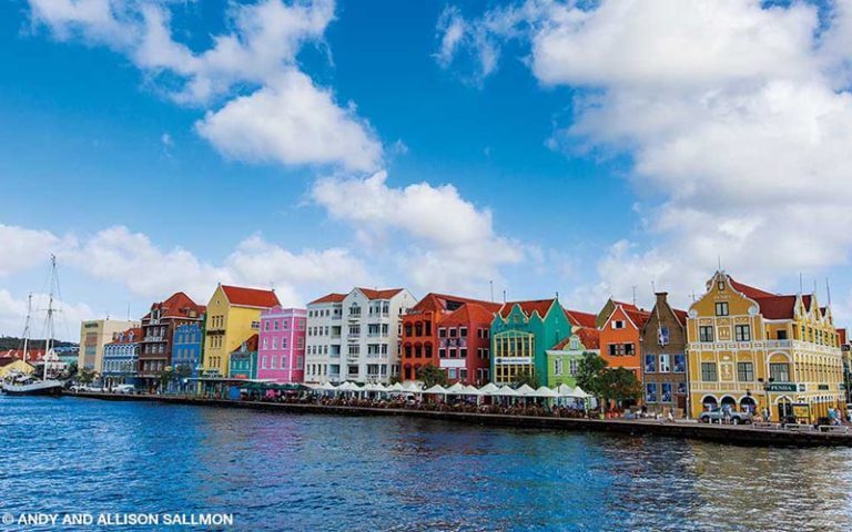 An Island to Ourselves: Curaçao - Divers Alert Network