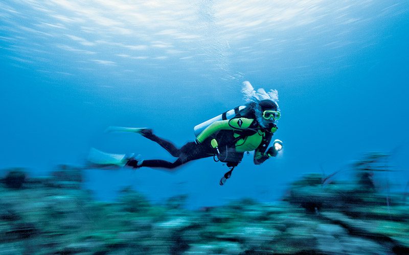 A diver glides on the sea wind