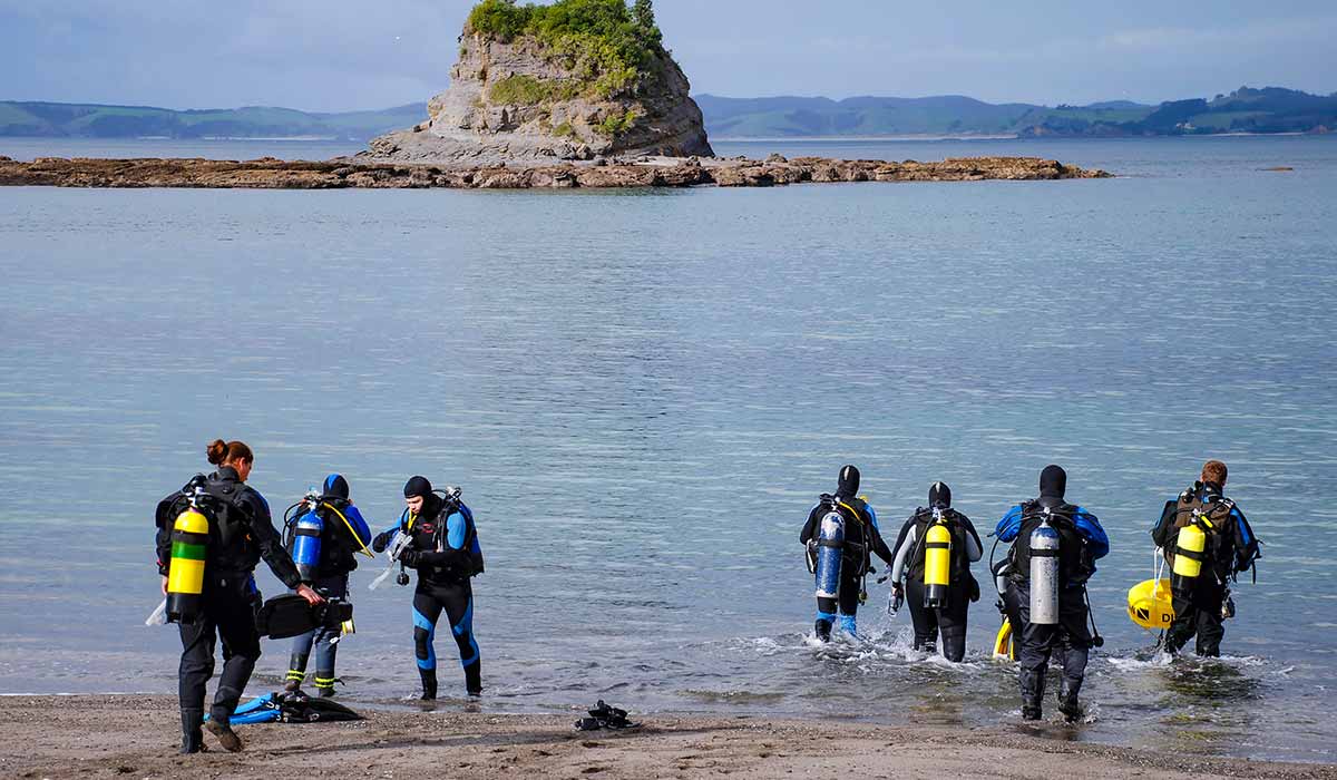 A group of divers walk into the ocean to start their dive