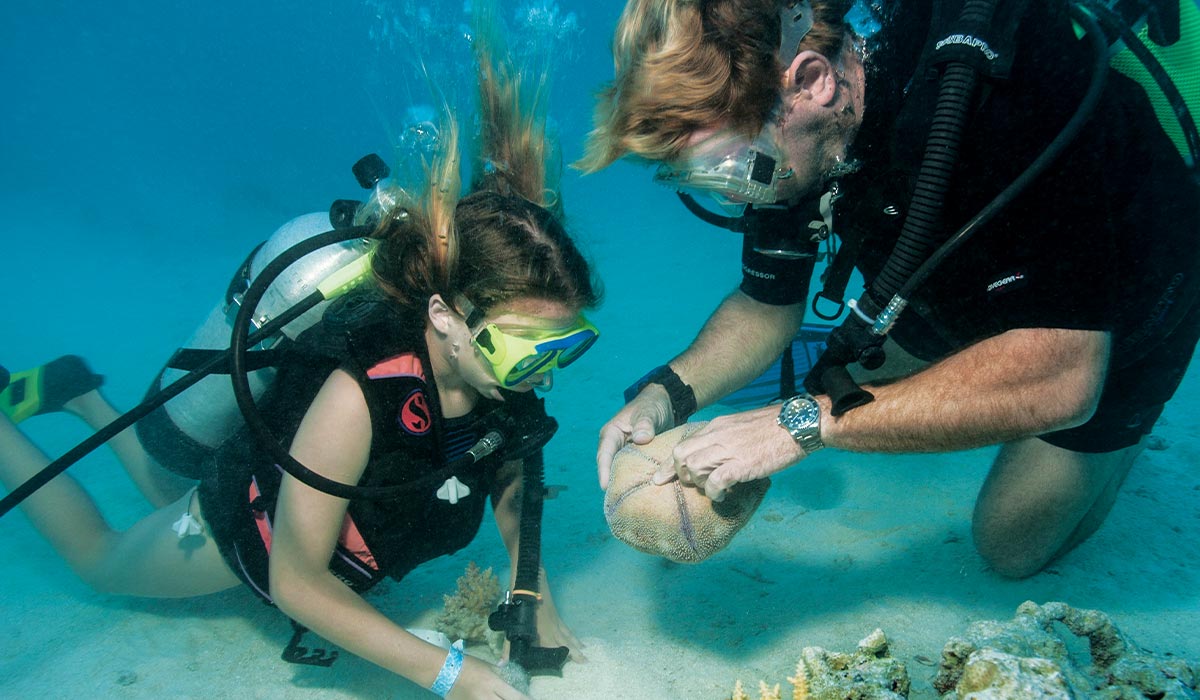 Adult diver is holding a sea critter to show child diver