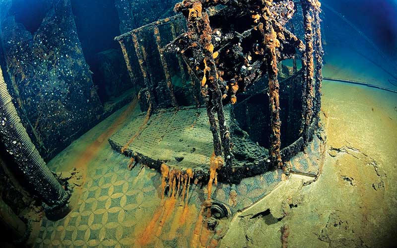 Algae-covered shipwreck piece