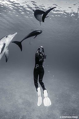 Black-and-white image of a freediver diving amongst divers