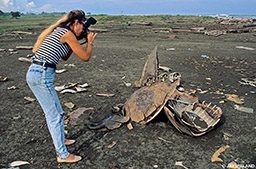 Bradley shoots image of a dead turtle skeleton