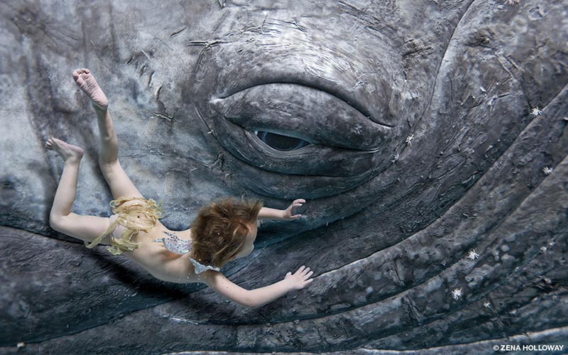 Child swims by whale's eye