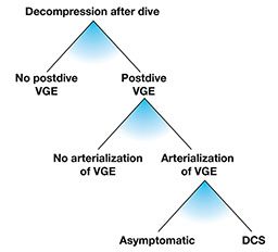 Chart shows decompression after dive