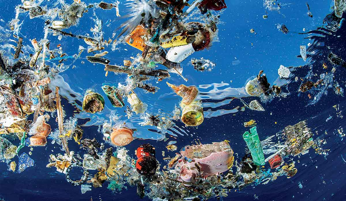 Discarded plastics float in water