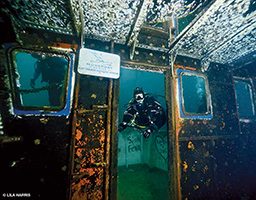 Diver explores Lulu shipwreck