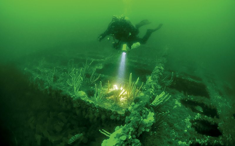Diver explores a shipwreck
