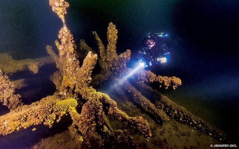 Diver explores an old shipwreck using a flashlight