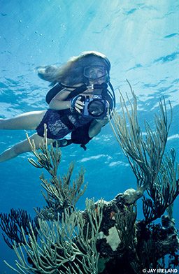 Diver in lingerie holds camera