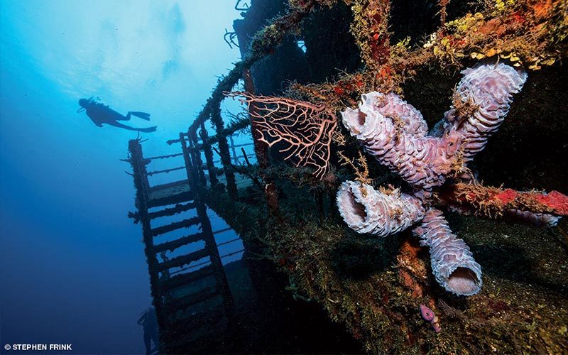 A diver swims next to a coral-encrusted shipwreck