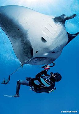 Diver snaps a photo of the underbelly of a manta