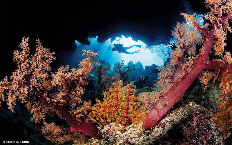 A diver holding a big underwater camera swims through a Fiji reef