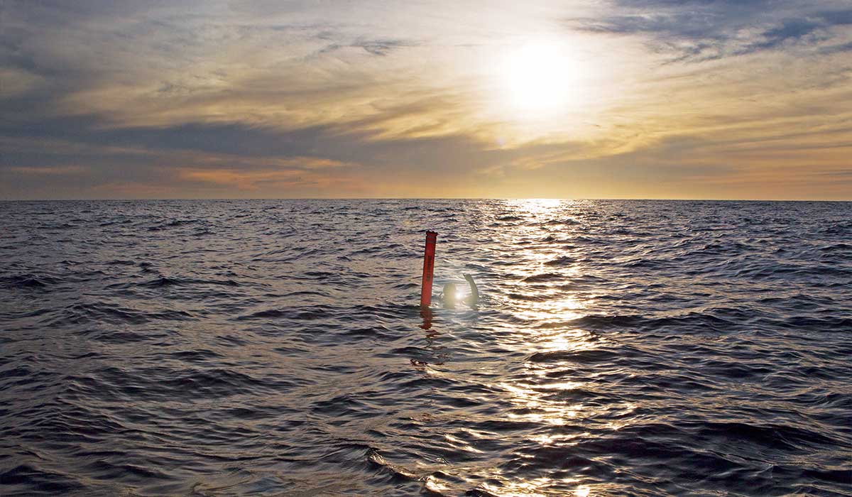 Diver wades next to red diver marker at sunset