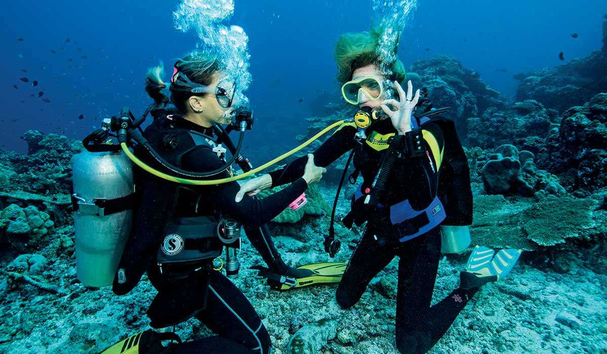 Female diver gives OK hand gesture to other female diver