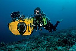 Female diver holding a giant yellow underwater camera, while underwater 