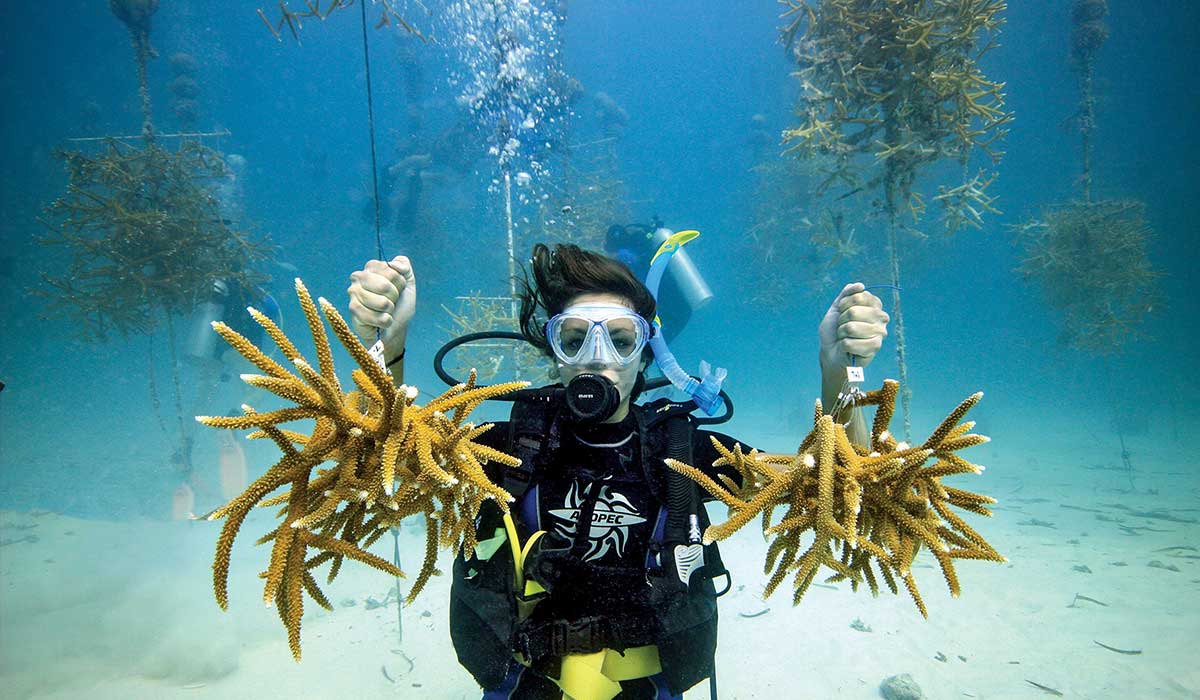 Female diver holds staghorn corals in each hand