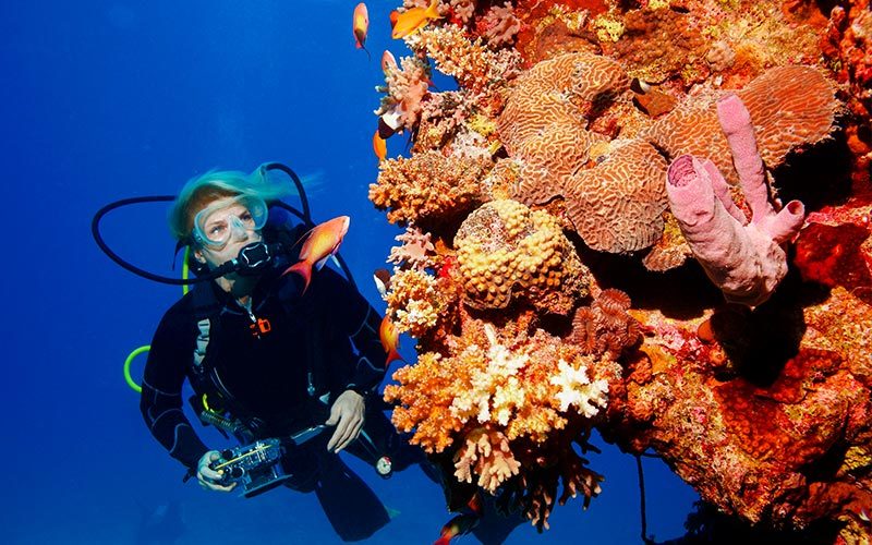 Female diver next to tower of orange coral