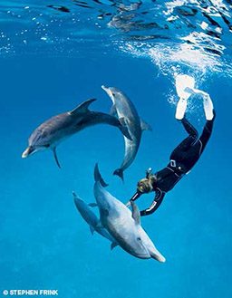 Freediver frolics with three dolphins
