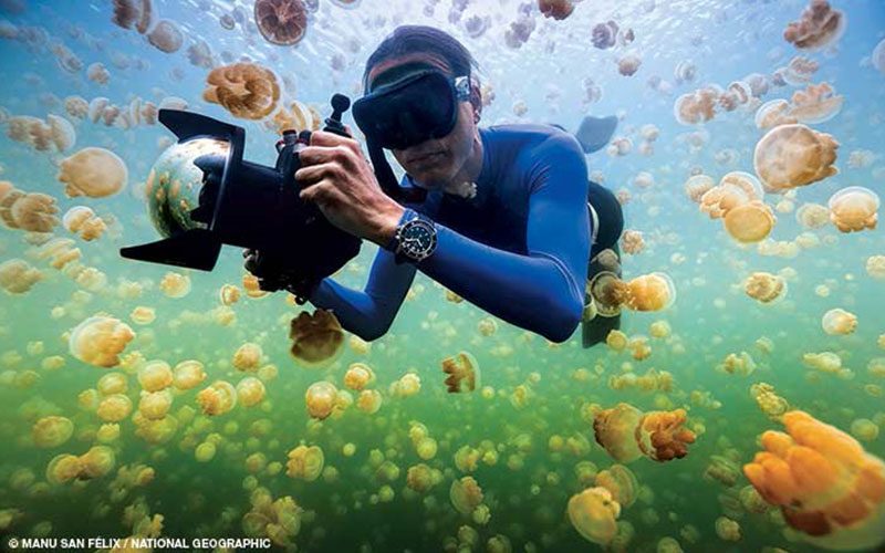 Freediver holds camera and swims through jellies