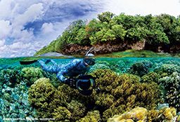 Freediver swims above corals, holding camera, near surface