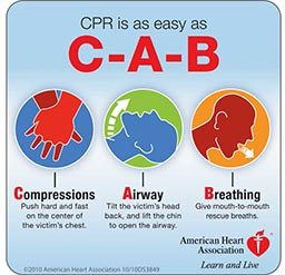 Graphic on how to perform correct CPR