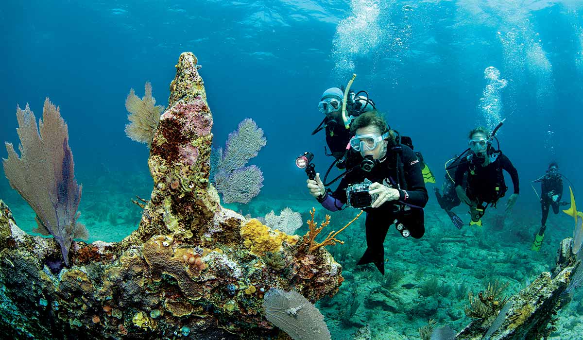 Group of divers approach a coral reef