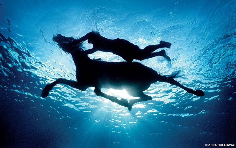 Horse and rider underwater