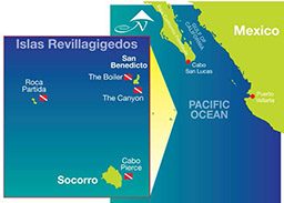 Illustrated map of Socorro Islands showing the best places to dive