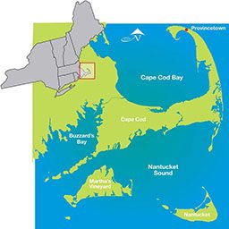 Illustrated map of Cape Cod
