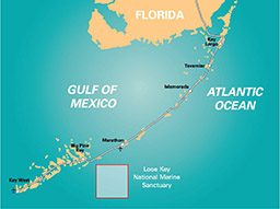 An illustrated map of Looe Key located in the Gulf of Mexico