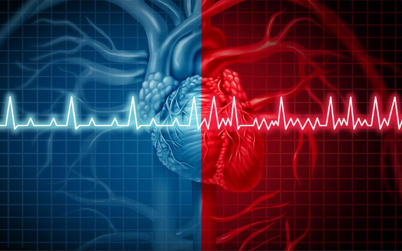 Illustration of a heart scan with red and blue