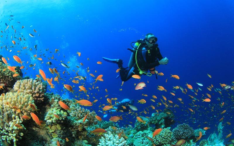 A male diver is in a coral reef and surrounded by orange fish