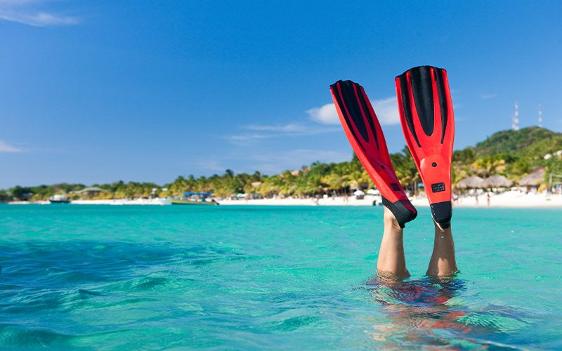 A person's legs, wearing red fins, stick out of tropical beach waters