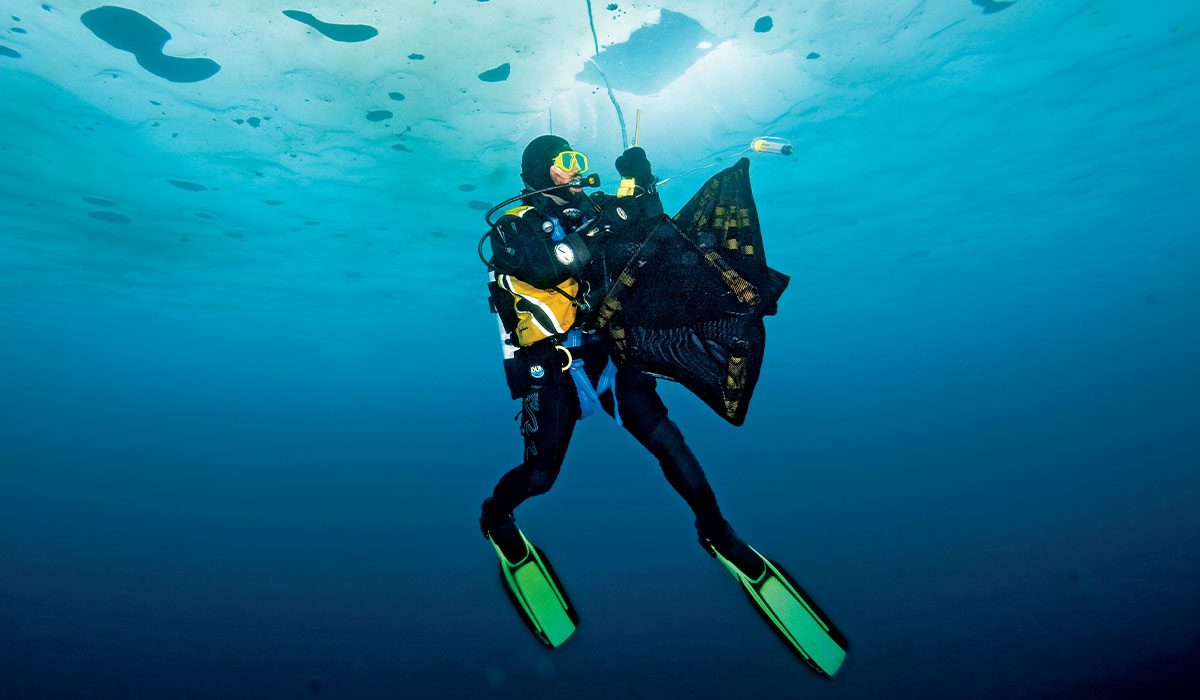 Scientific diver holds a black net