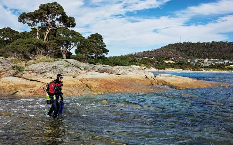 Tasmania - Divers Alert Network