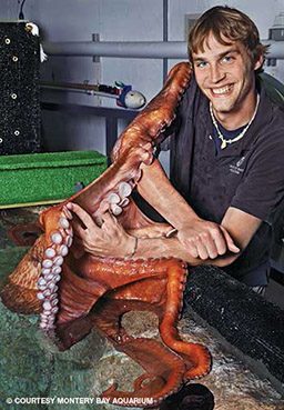 Smiling man holds an octopus