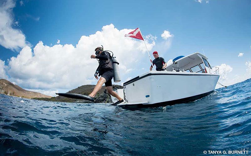 Snorkeler jumps off dive boat