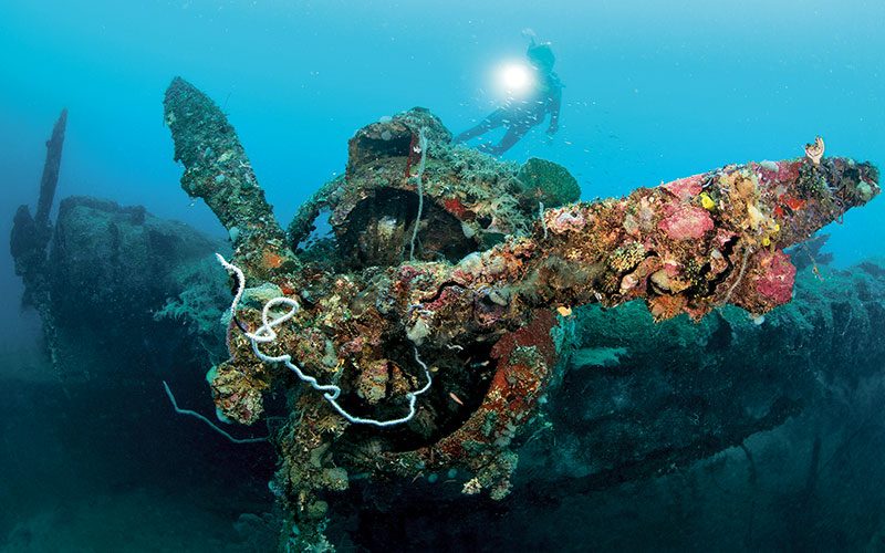 Sponge-encrusted wrecked plane