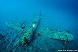 A sunken Japanese war plane lies at the ocean bottom