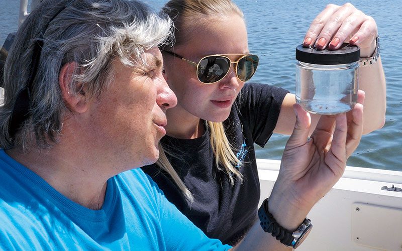 Two researchers look at container of plankton collections
