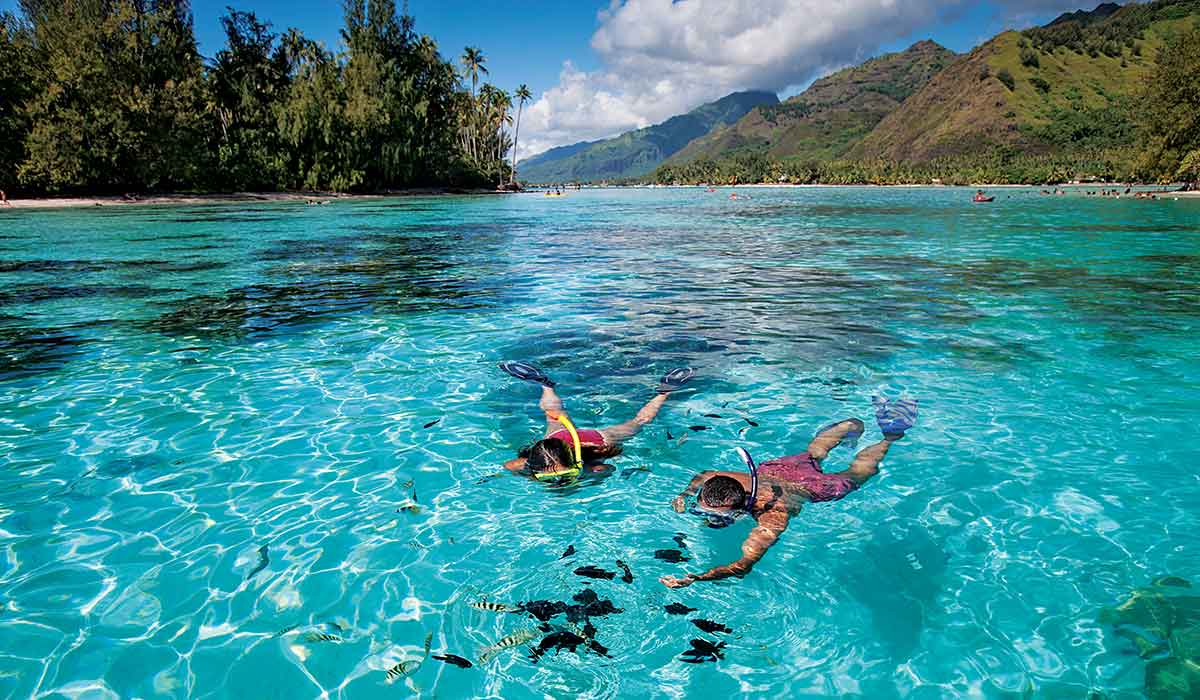 Two snorkelers snorkel in a tropical locale
