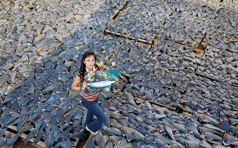 Woman stands in a giant vat of shark fins